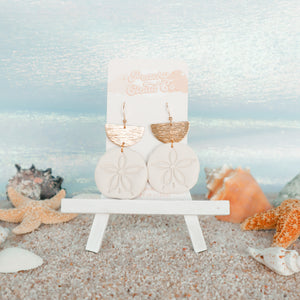 Gleaming Sand Dollars