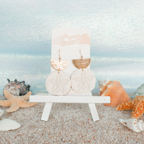 Gleaming Sand Dollars